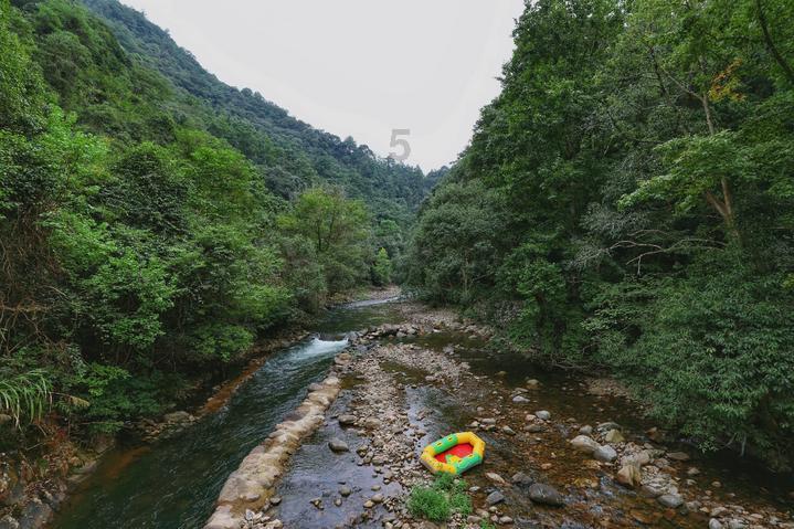 延安大学音乐生录取分数线-智能问答网页,机智解答你的疑惑